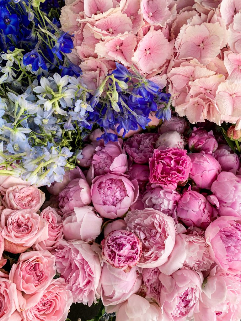 My Love Affair with Flowers